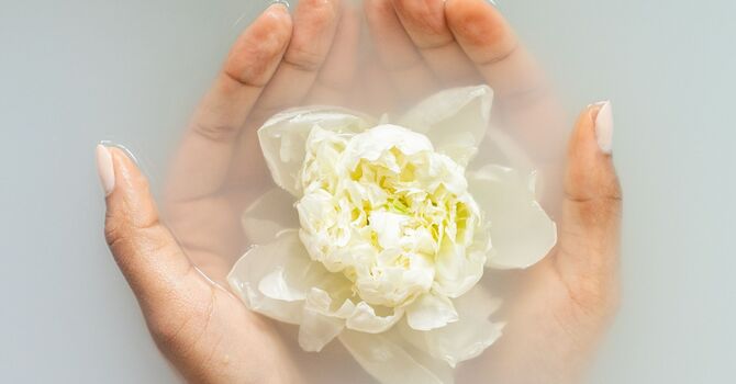 Chiropractic and Dry Needling